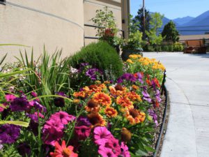 Columbia House Healing Garden - Gallery